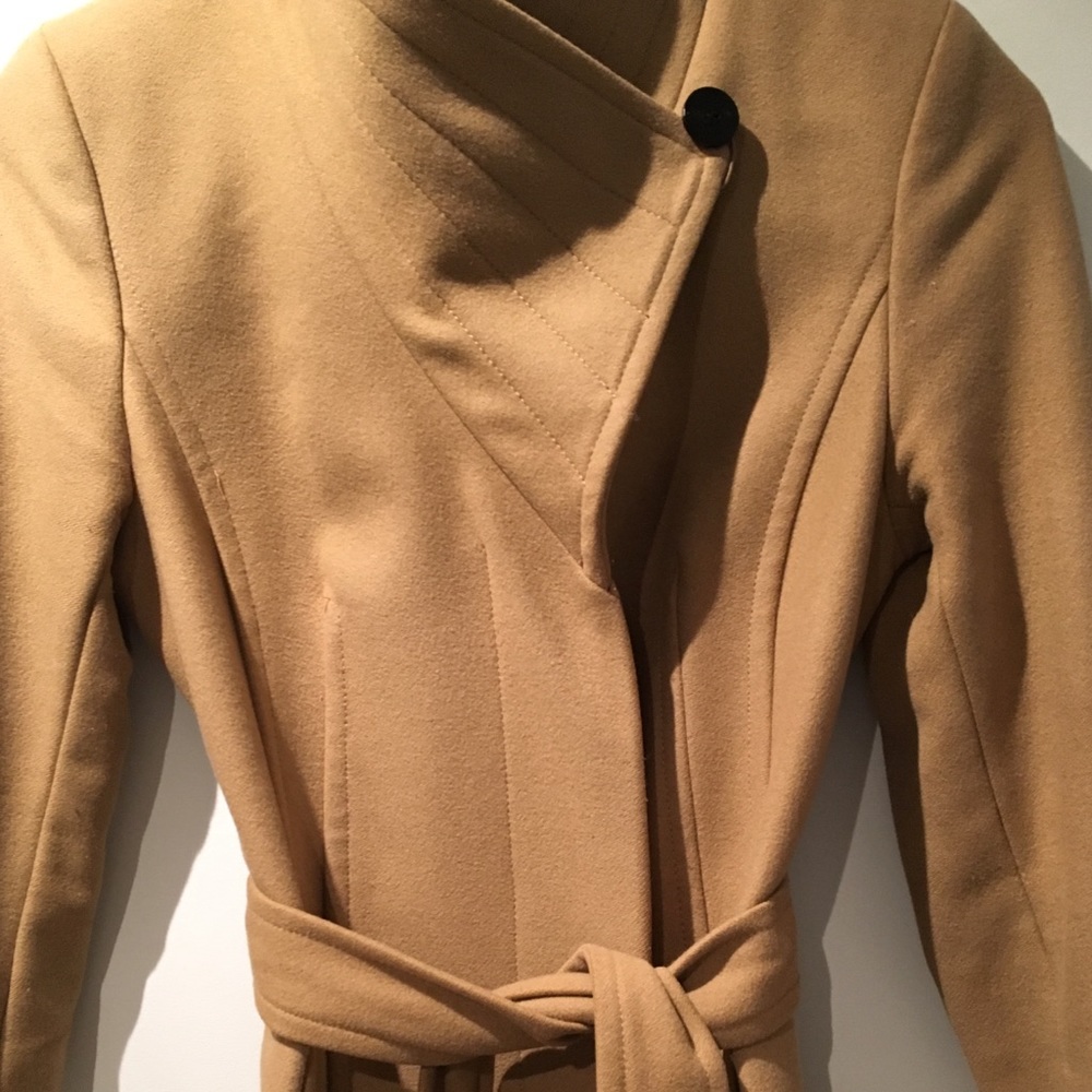 Aritzia Babaton - Wool/Cashmere Connor Wool Coat